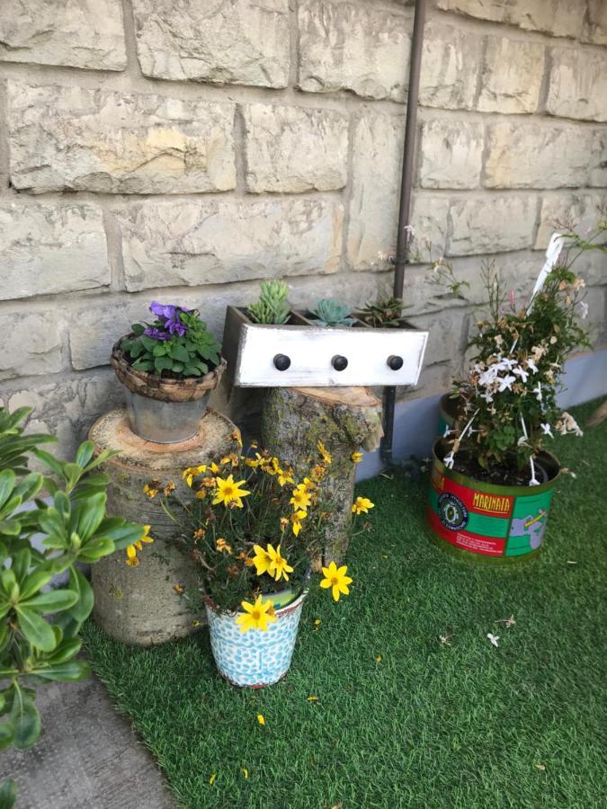 B&B La Boheme بورتو غاريبالدي المظهر الخارجي الصورة